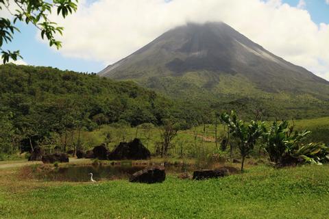 2-in-1 Hanging Bridges & Arenal Volcano Hike, Plus Lunch Costa Rica